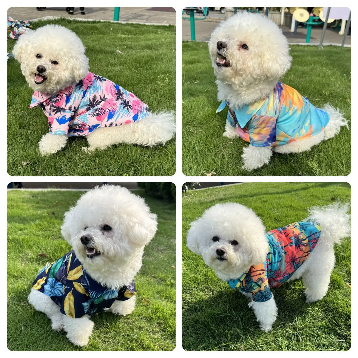 ハワイアンシャツ ペットビーチウェア 犬猫用 四季通用服用品 - Summer Dog Clothing のレビューと価格