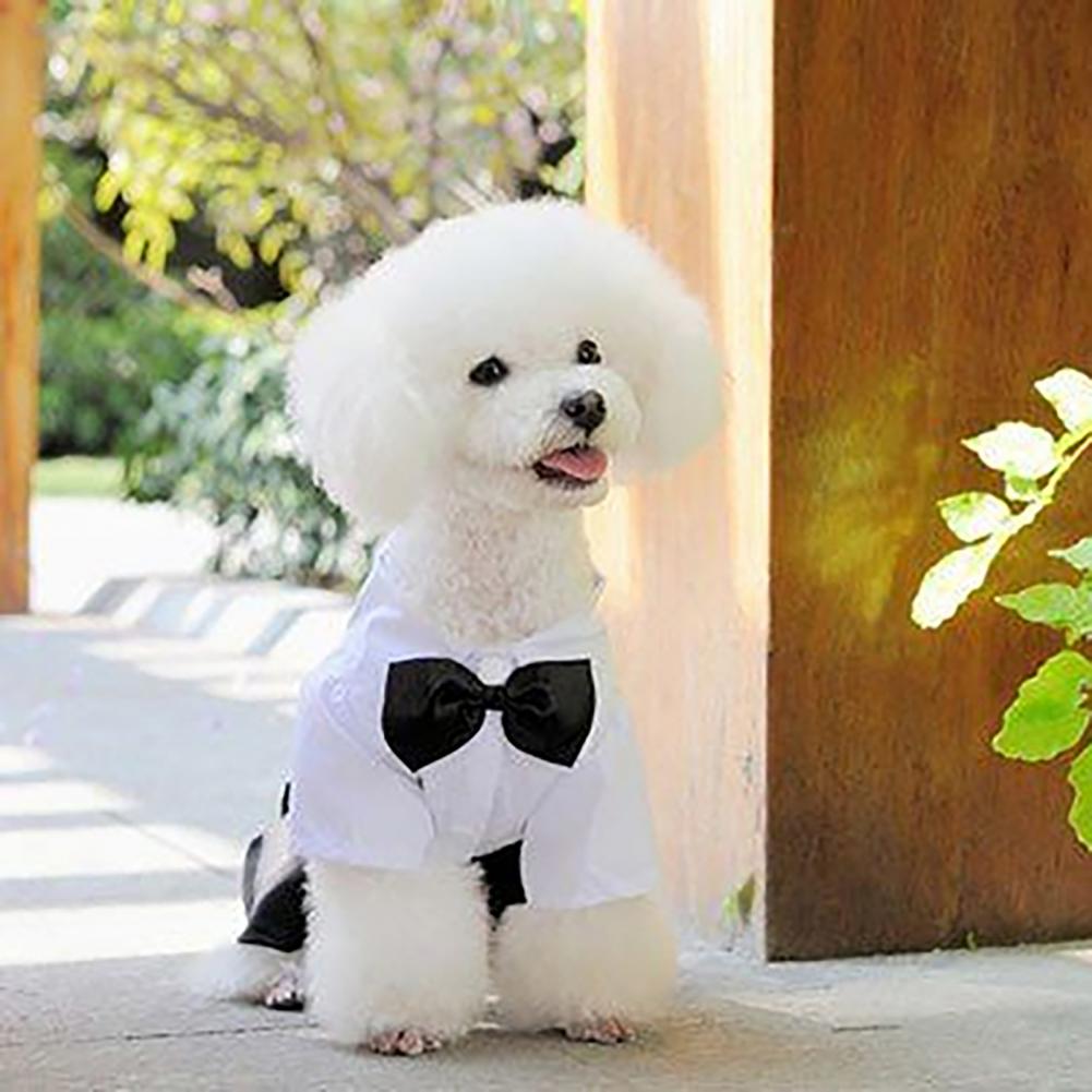 犬蝶ネクタイスーツタキシード衣装フォーマルシャツストラップ布 - Summer Dog Clothing のレビューと価格