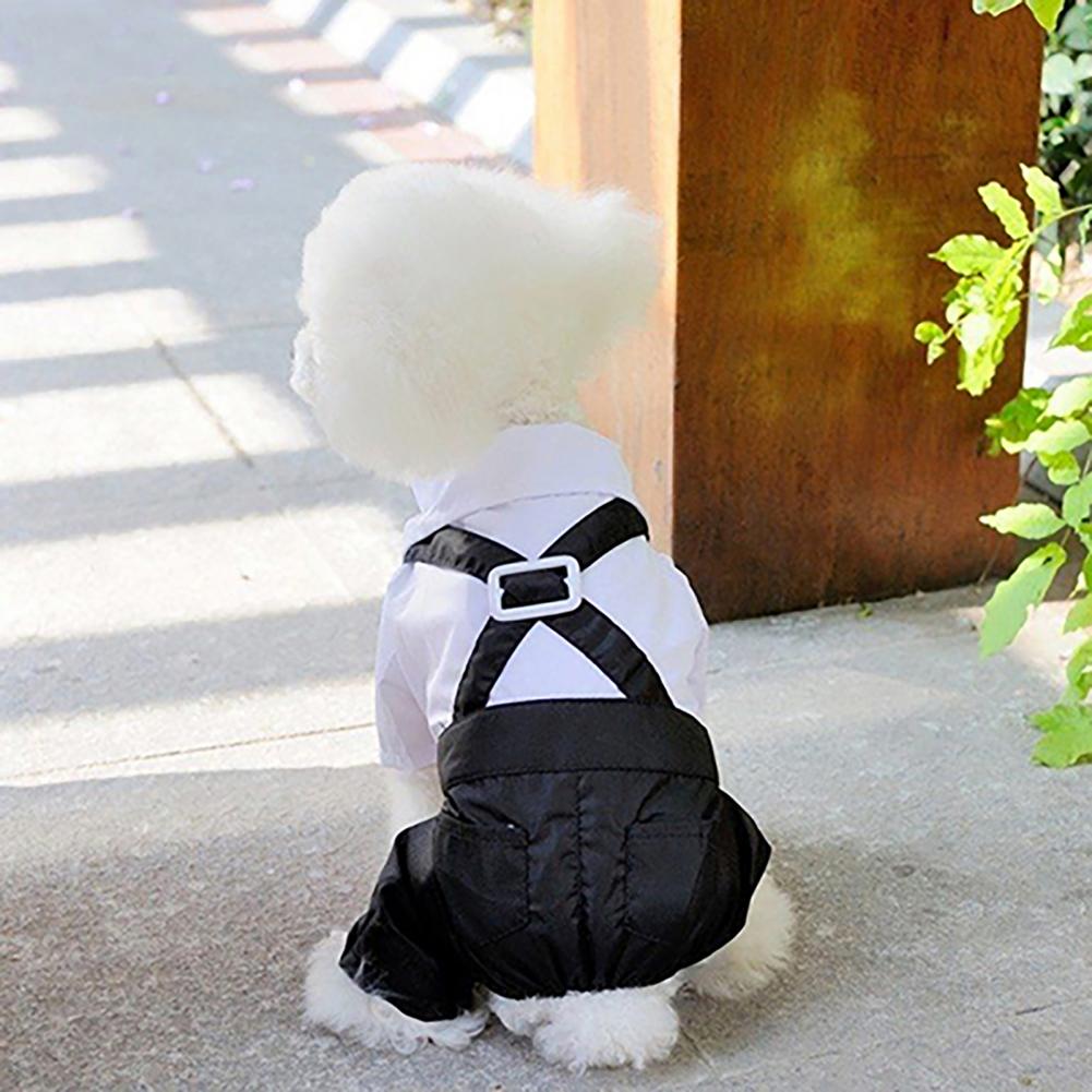 犬蝶ネクタイスーツタキシード衣装フォーマルシャツストラップ布 - Summer Dog Clothing のレビューと価格